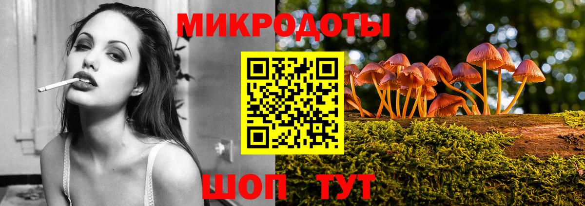 Псилоцибиновые грибы Psilocybe Аша