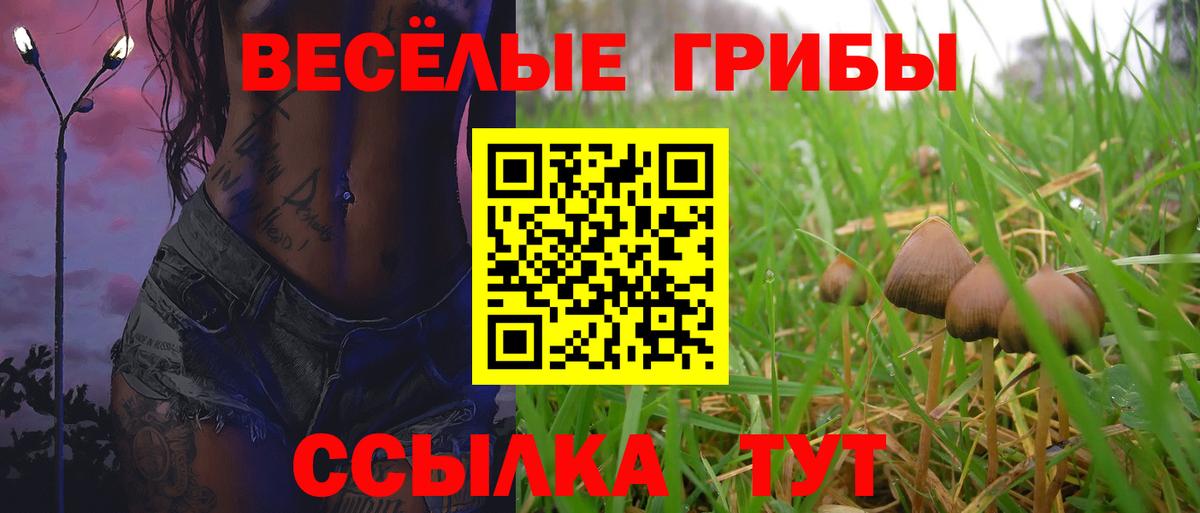 Псилоцибиновые грибы мицелий  Галлюциногенные грибы Psilocybe  Вход с VPN  Аша 